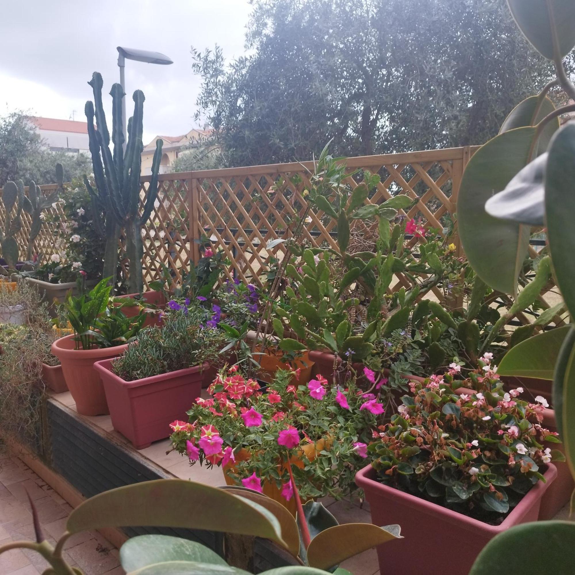 Alghero Lovely Flat 아파트 외부 사진