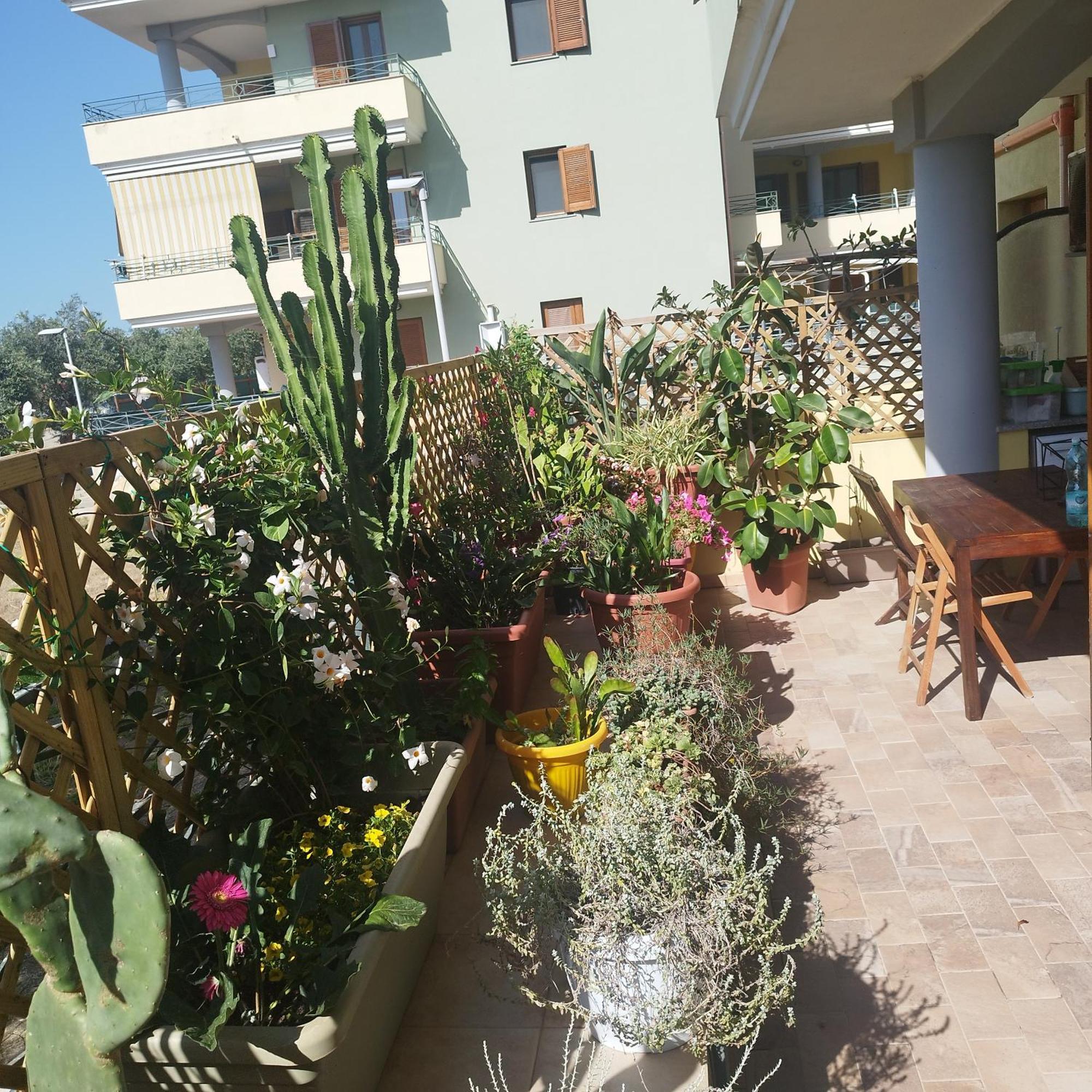 Alghero Lovely Flat 아파트 외부 사진